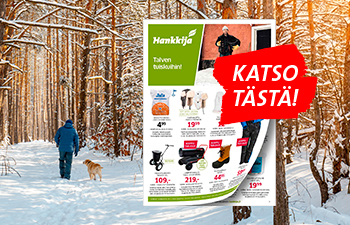 Miesoletettu kävelee kultaisennoutajan kanssa mäntymetsässä talvella, aurinko paistaa. Kuvituskuva.