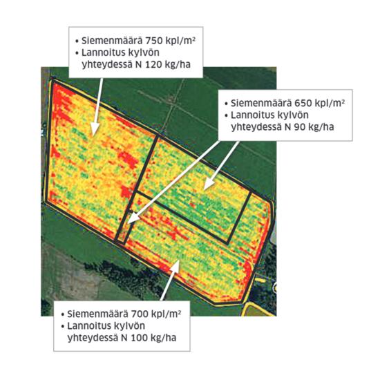 Satelliittikartta jossa merkitty siemenmäärä ja lannoitusmäärä