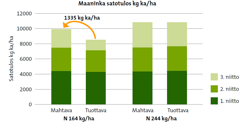 Kuva 1. Tuottava- ja Mahtava-seosten sadot eri lannoituksilla. Alennettu lannoitus: N 164 kg/ha Liete on täydennetty typellä (SS). Maksimi lannoitus: N 244 kg/ha Liete on täydennetty typellä, fosforilla ja kalilla (Y 3 ja NK2).