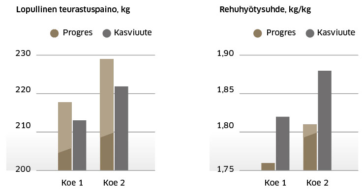 Lopullinen teurastuspaino. Rehuhyötysuhde.