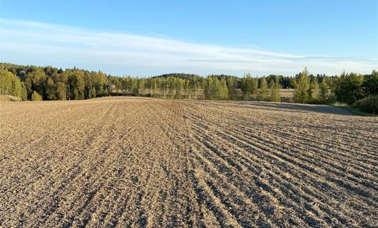 Peltomaisema, muokattu pelto aurinkoisella säällä, metsä taustalla.