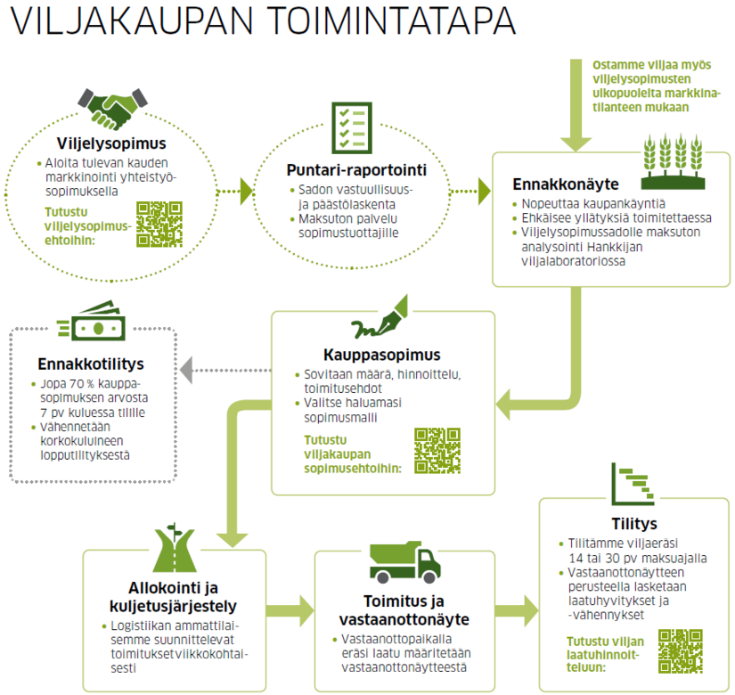 Viljakaupan toimintatapa -kaavio