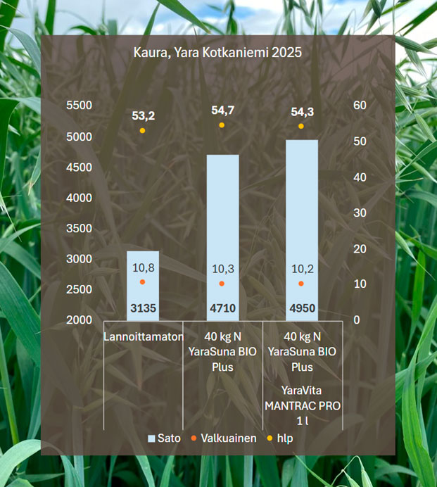 Yara Kotkaniemi kauran lannoituskoe