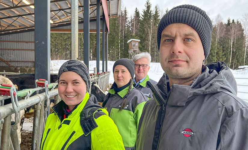 Kuvassa etualalla Maitotaipale Oy:n Mikko Lihavainen ja Titta Pehkonen, taempana ruokinta-asiantuntijat Jonna Koskinen ja Markku Komulainen.