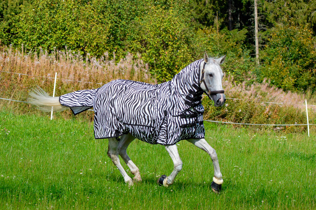 Hyönteisloimi EQCode zebra 95 cm