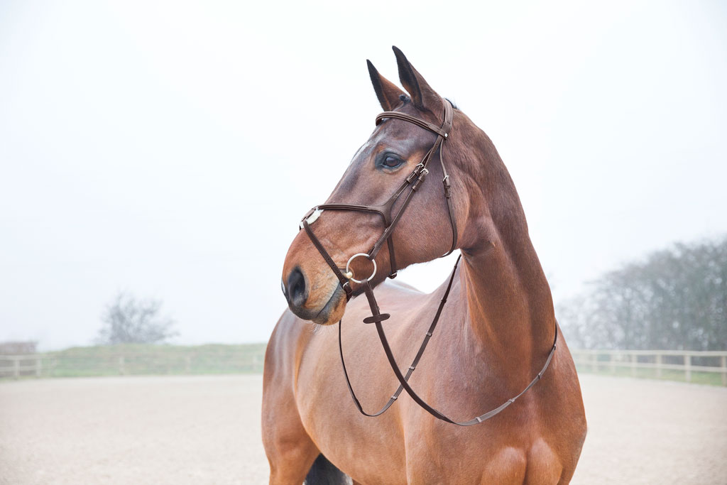 Suitset Prescott Meksikolaisella turpahihnalla, ruskea cob