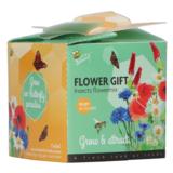 Buzzy Flower Gift mehiläiset&perhoset