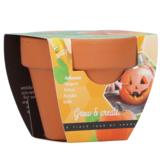 Buzzy Grow Gifts kurpitsa