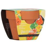 Buzzy Grow Gifts krassi