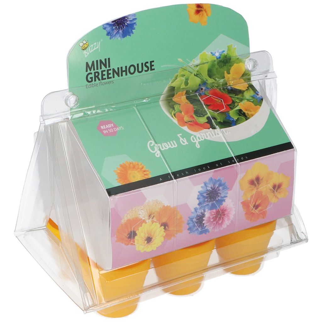 Buzzy minikasvihuonesetti