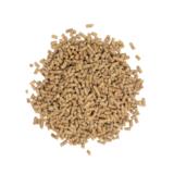 Filee-Br. Kasvatus 1 PP CC rae