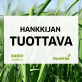 Hankkijan Tuottava peltonurmiseos 500 kg