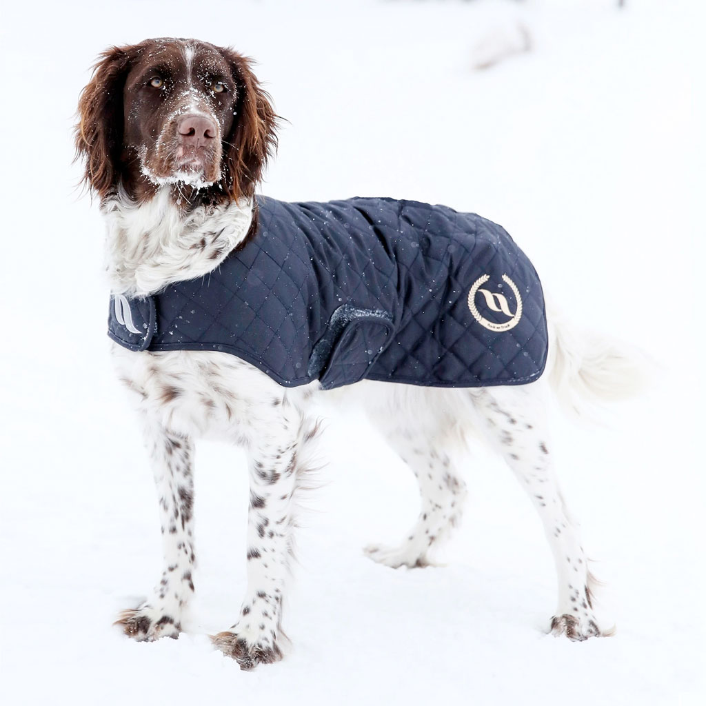 Koiran takki Nights Collection Back on Track sininen