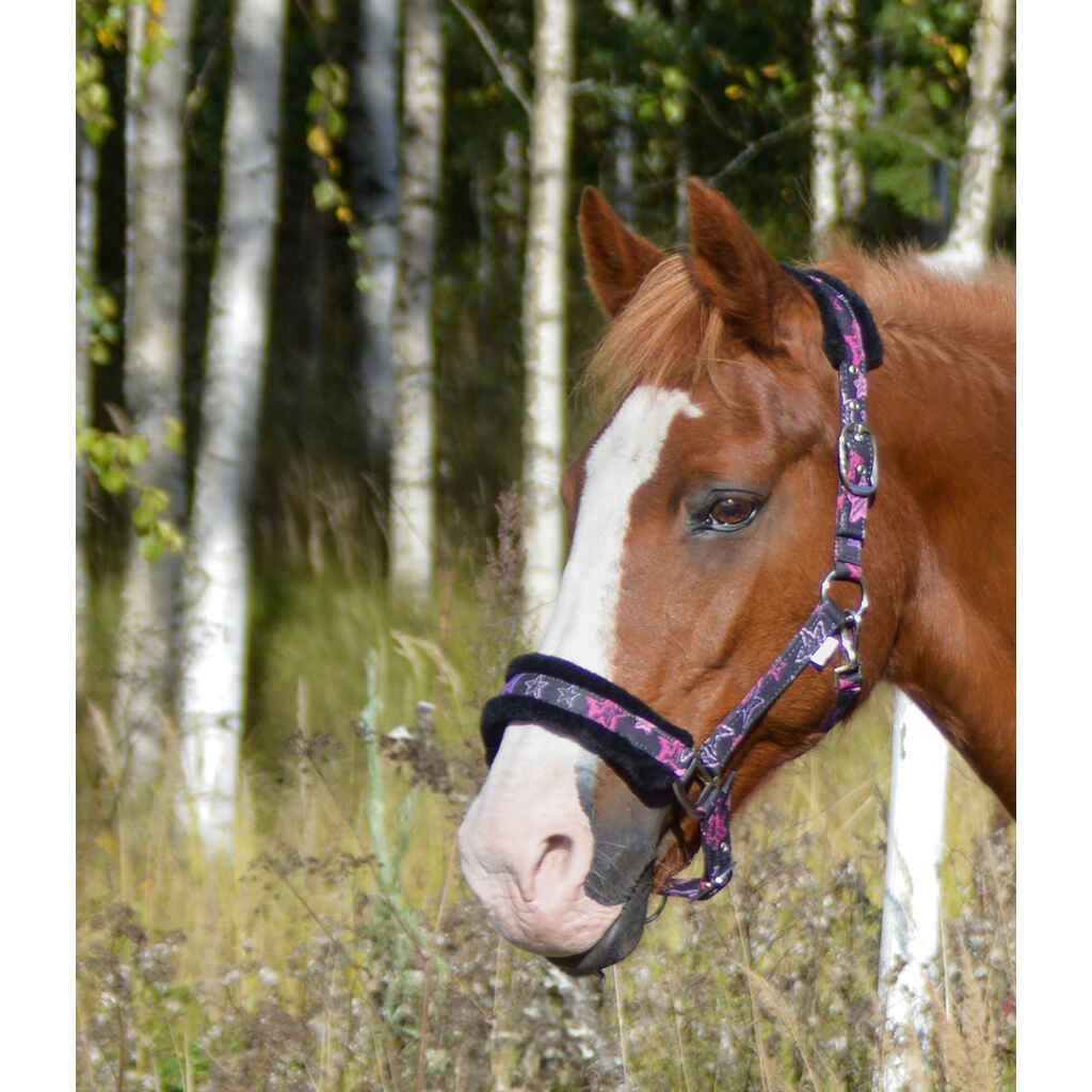 Riimu EQCode Star musta/tähtikuvio teddy, shetlanninponi