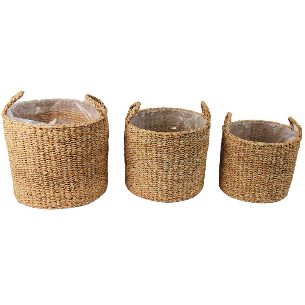 Kori paksu meriheinä muovitettu