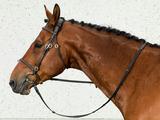 Niskasuoja tarroilla Back On Track