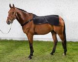 Selänlämmitin Royal Back on Track