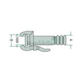 Perrot Pikaliitin Naaras Letkukaralla