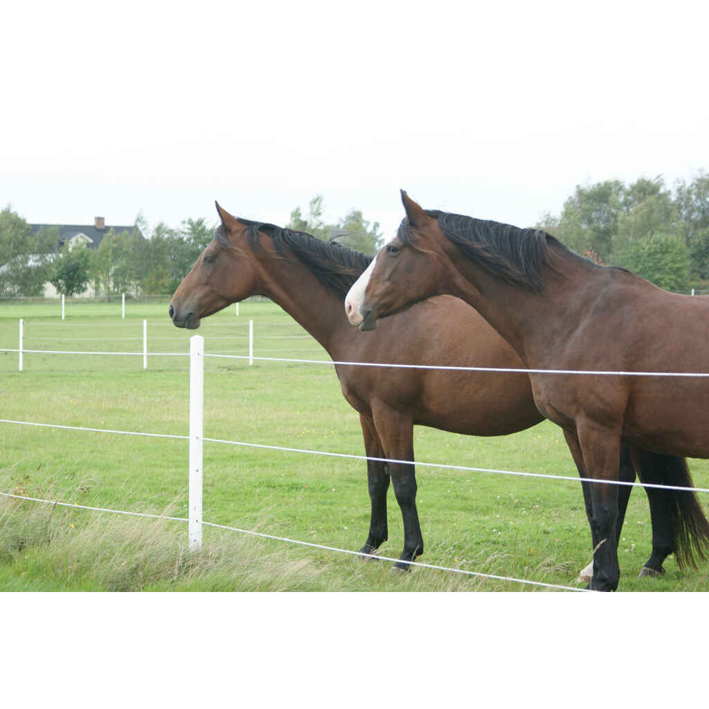 Aitatolppa Equi-Safe 65mm x 1,8 m sis.hatun