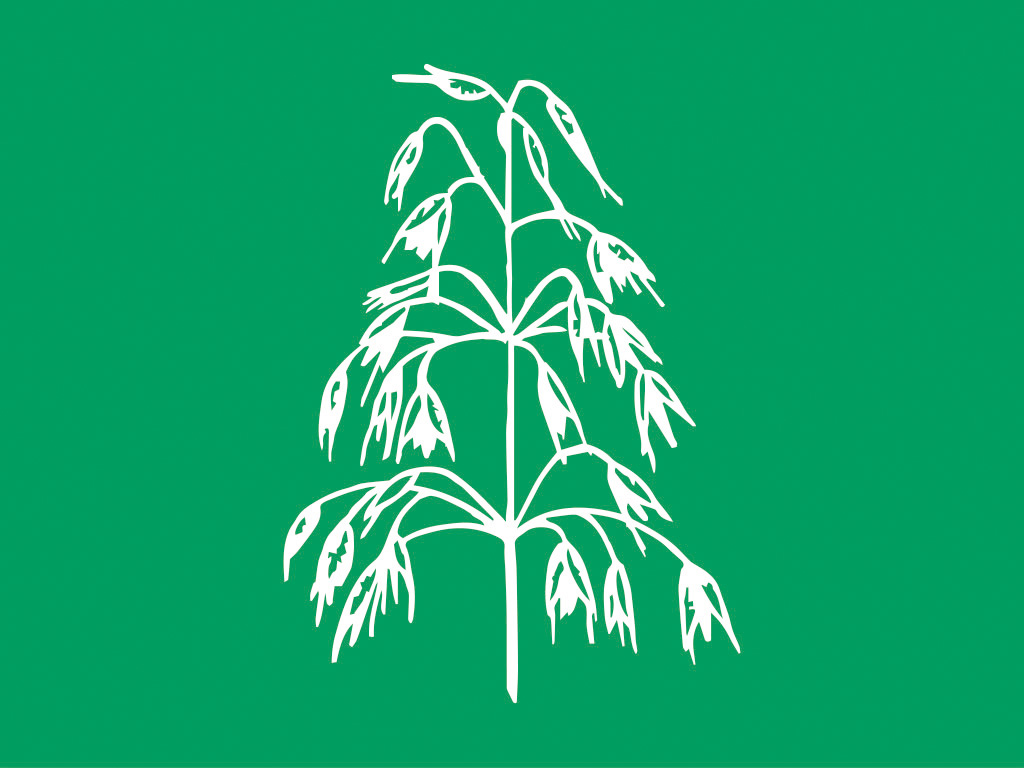 Meeri kaura puhdas 800 kg