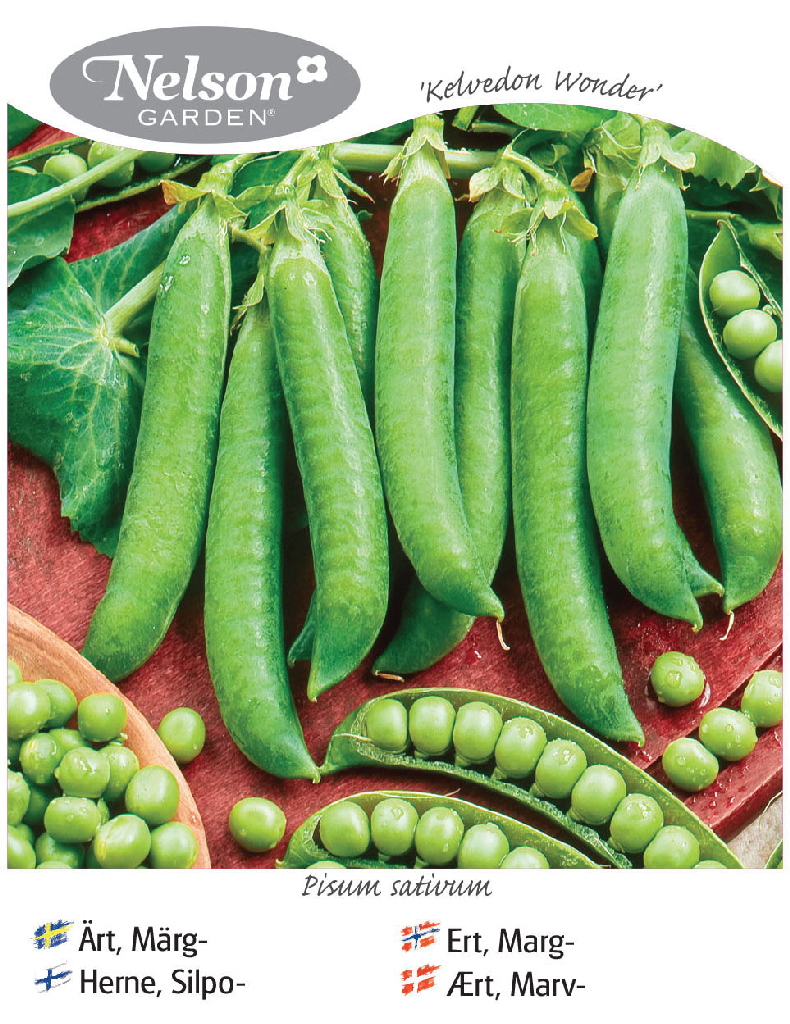 Silpoydinherne, Kelvedon Wonder 1 kg