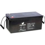 BrightSolar DC12-225 AGM akku