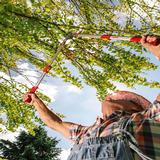 Raivaussakset ohileikkaavat RR-900T Wolf-Garten