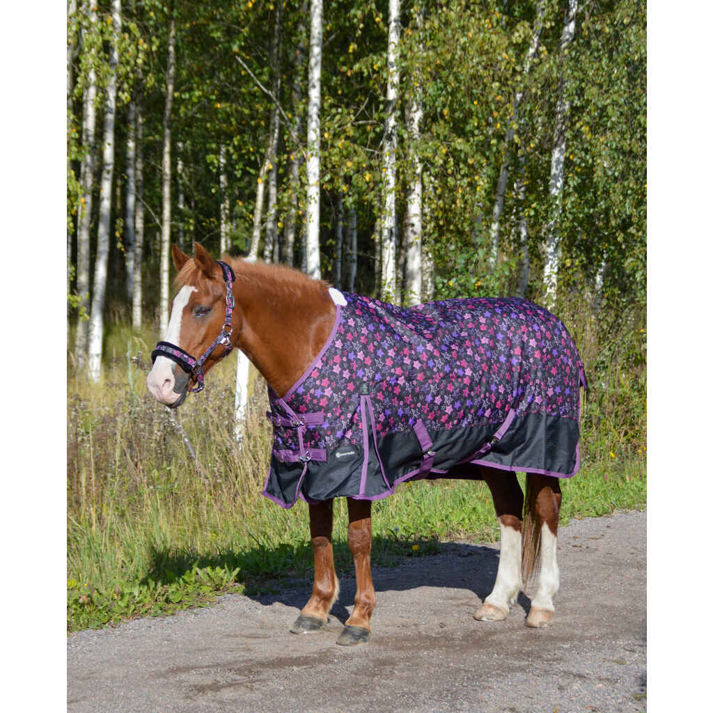 Sadeloimi EQCode Rufus 100g musta/tähti