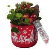 Jouluistutus keramiikassa