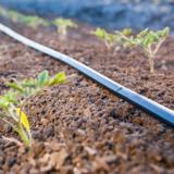 Tihkuletku Rivulis Ro-Drip 16 mm 8-30-300 2286 m