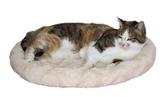 Kissanpeti Cosy