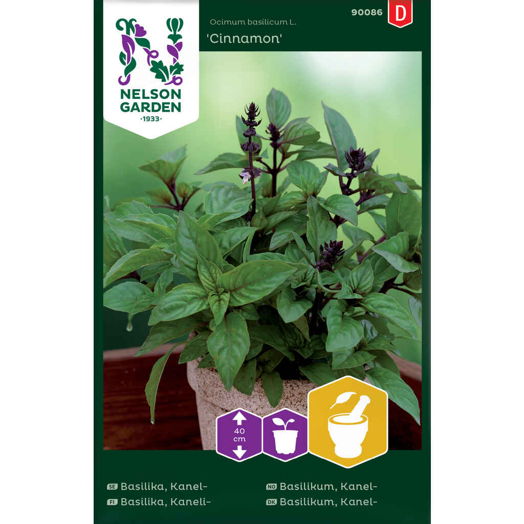 Kanelibasilika Cinnamon