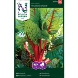 Lehtimangoldi, 'Rhubarb Chard'