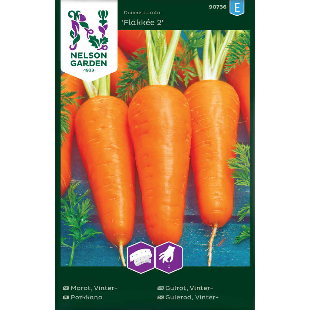 Porkkana Flakkee 2 kylvönauha