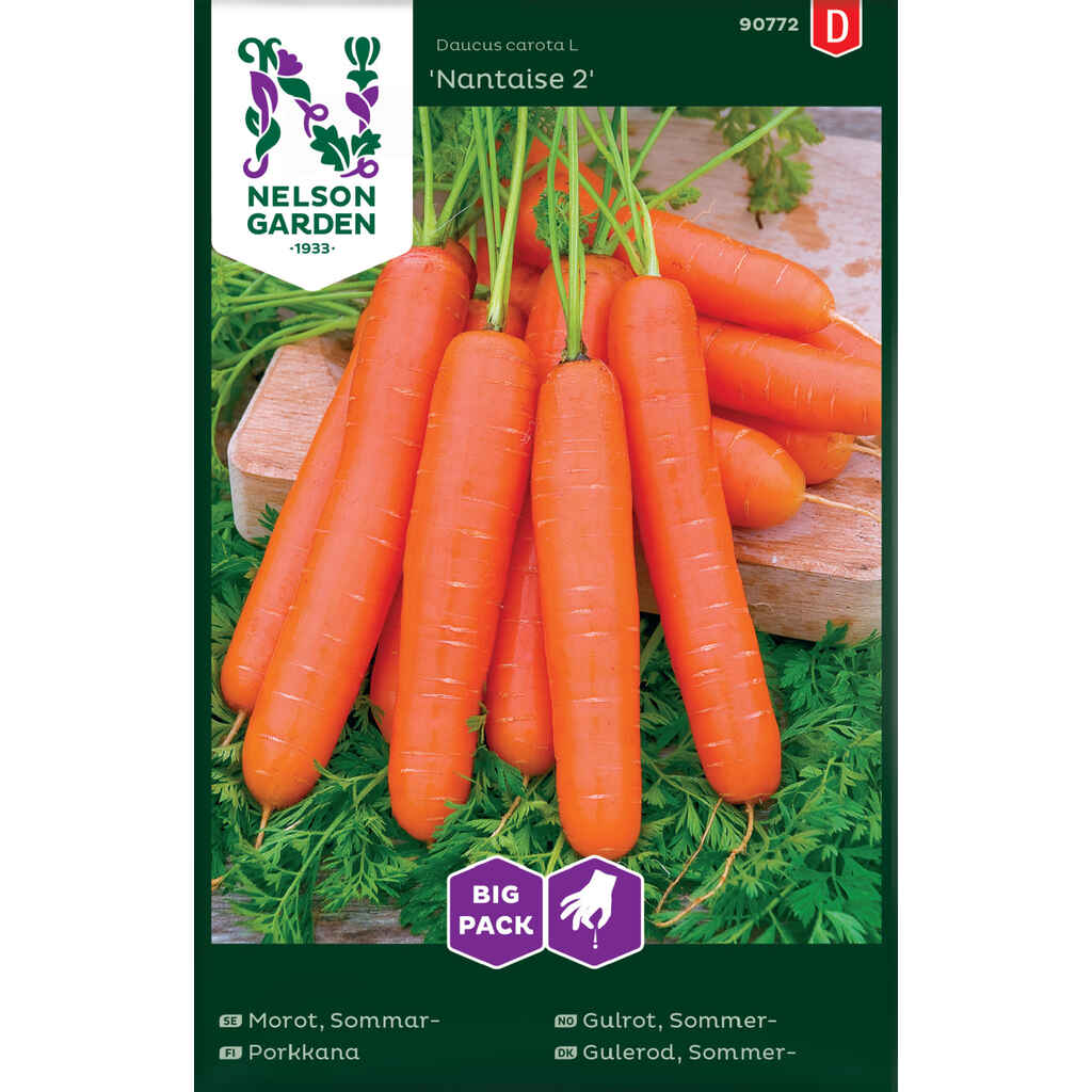 Porkkana Nantaise 2 Big Pack