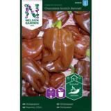 Chilipaprika, 'Chocolate Scotch Bonnet'