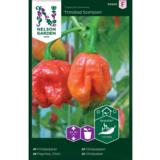 Chilipaprika, 'Trinidad Scorpion'