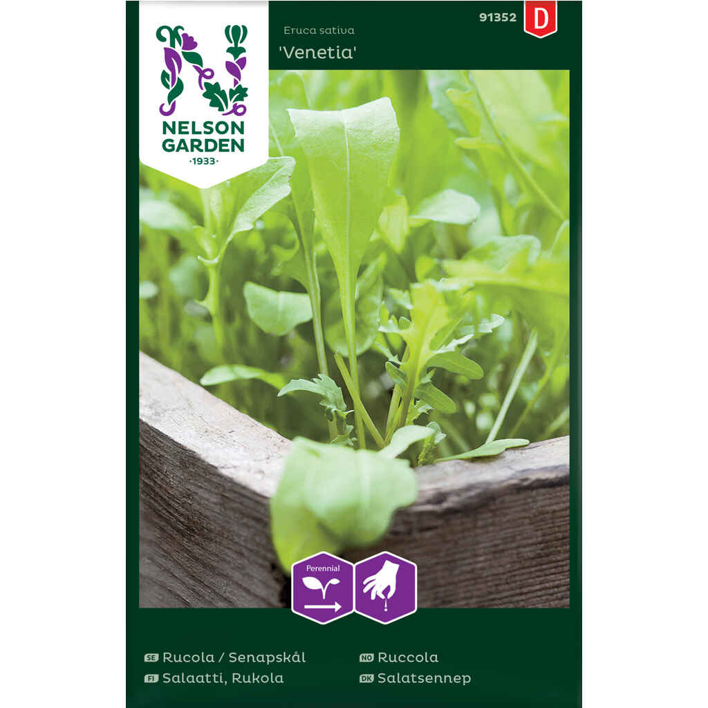 Salaatti rucola Venetia