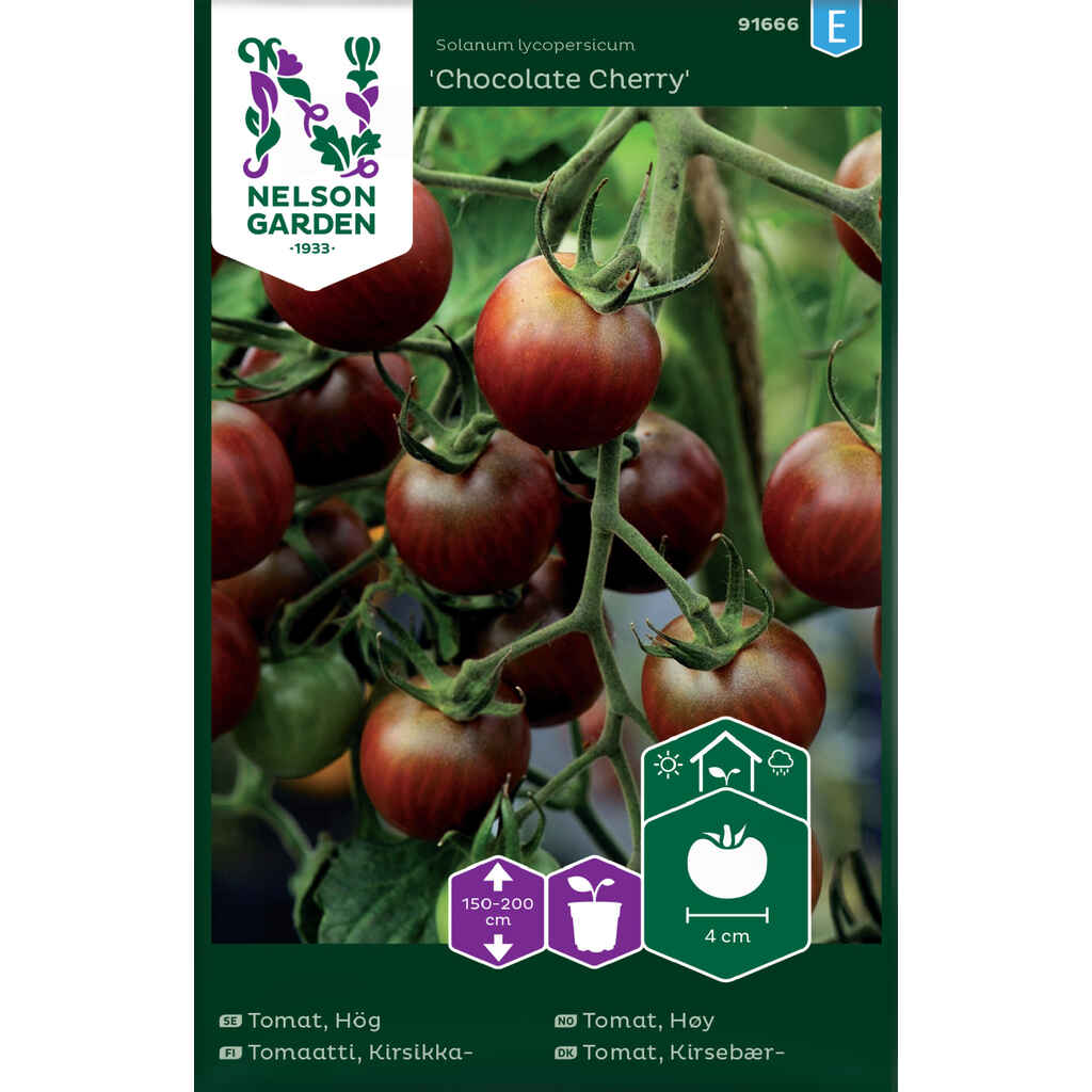 Kirsikkatomaatti Chocolate Cherry