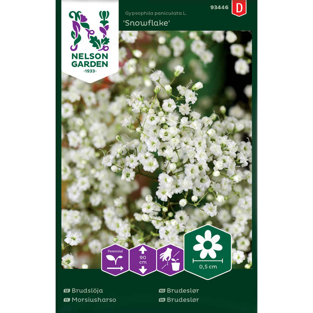 Morsiusharso Snowflake