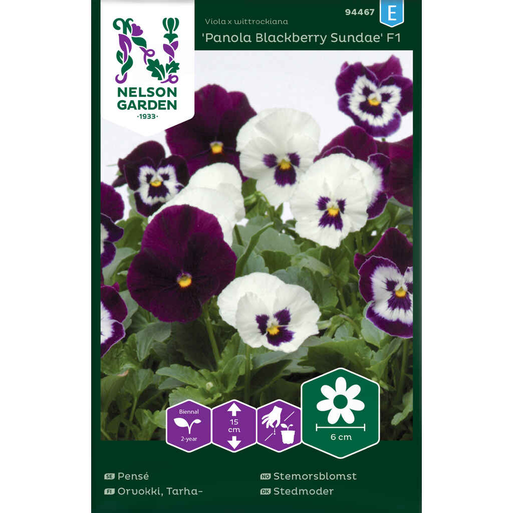 Tarhaorvokki Panola Blackberry Sundae Mix