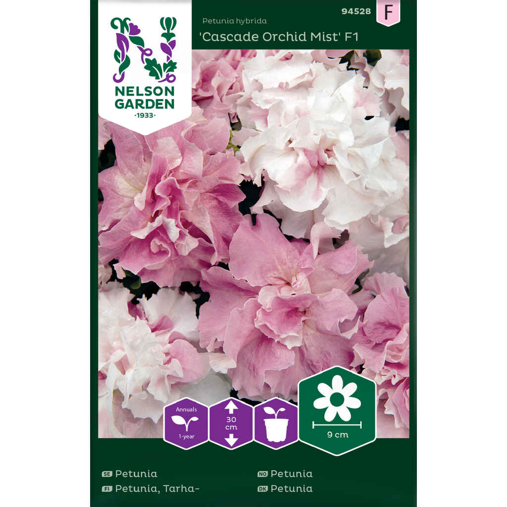 Tarhapetunia Cascade Orchid Mist F1
