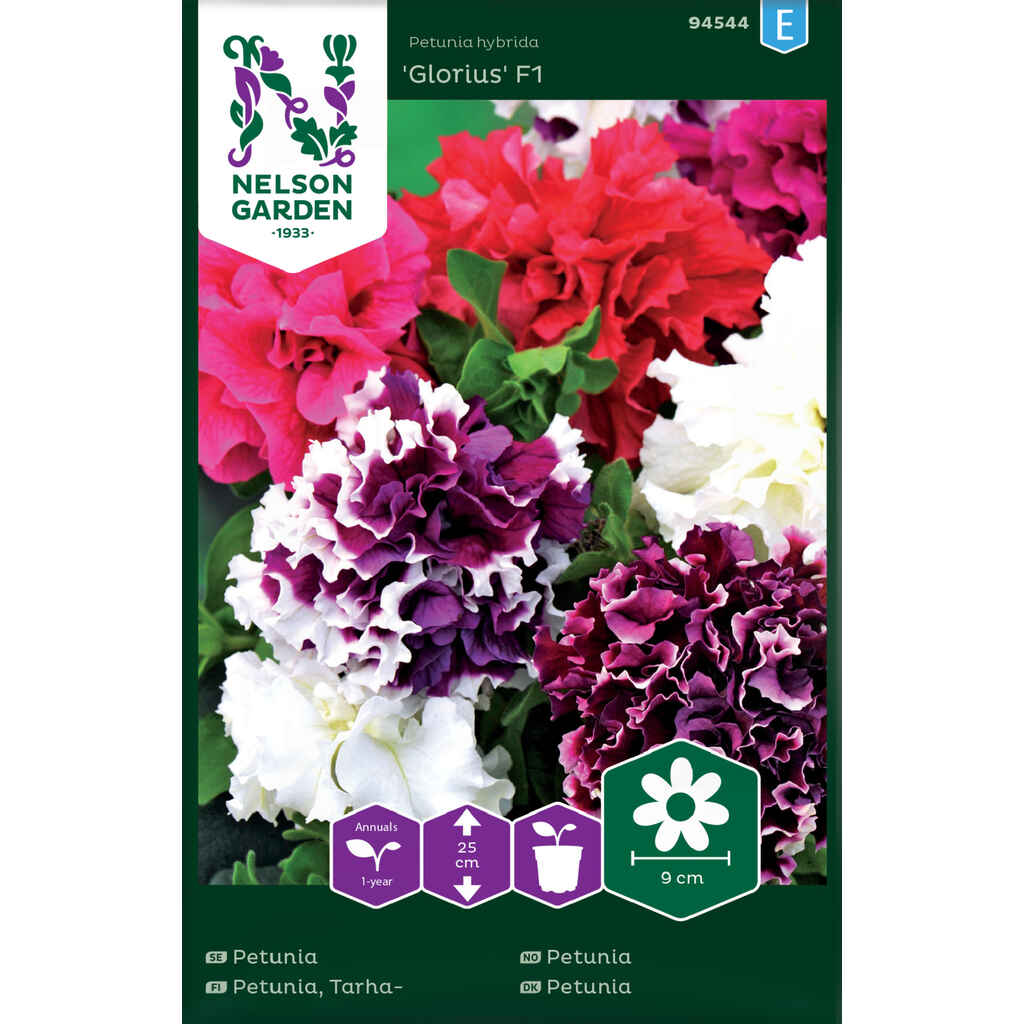 Tarhapetunia Glorious F1 kerrottu