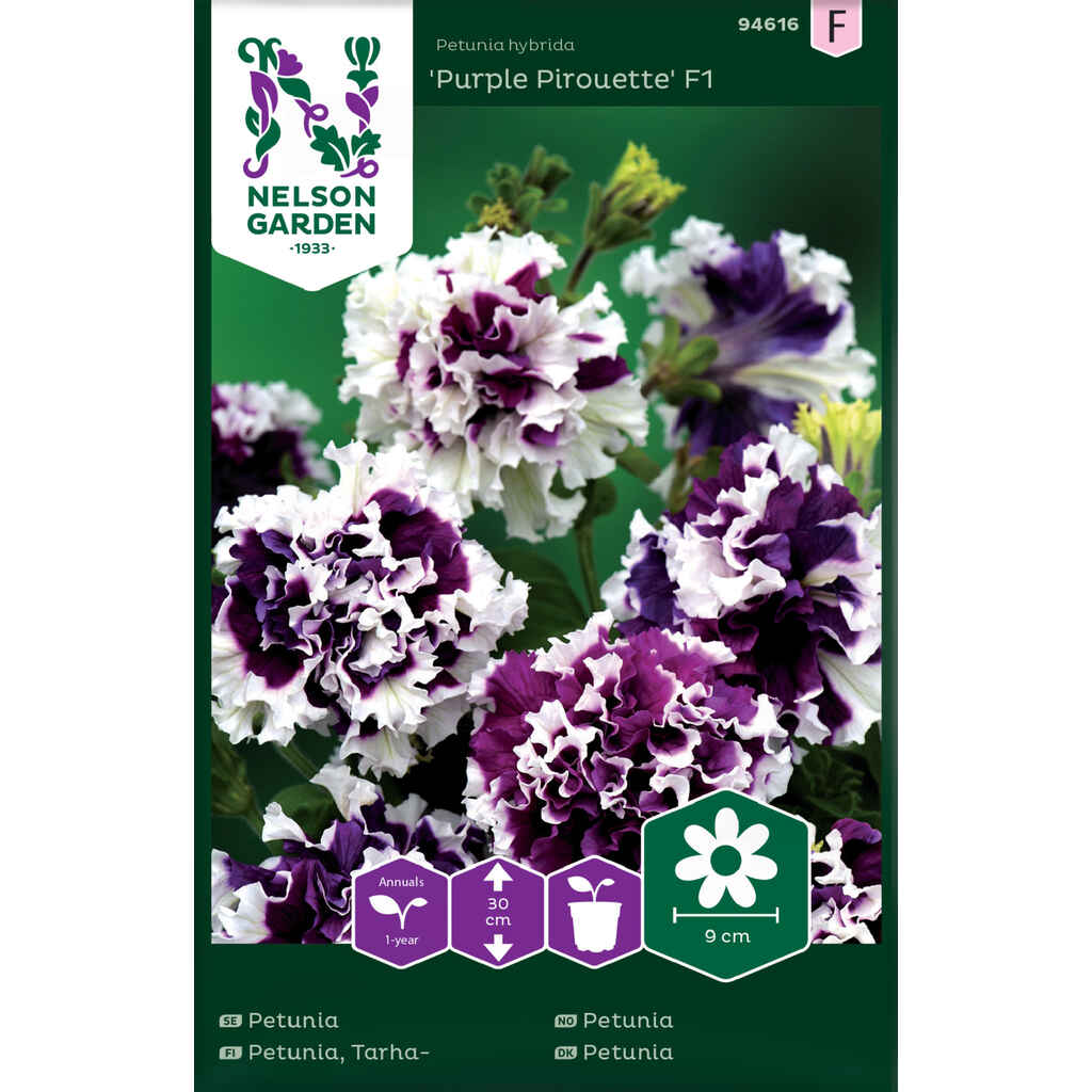 Tarhapetunia Purple Pirouette F1 kerrottu