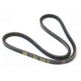 Moottorin apulaitehihna, R87154