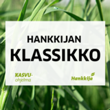 Hankkijan Klassikko nurmisiemenseos 500 kg