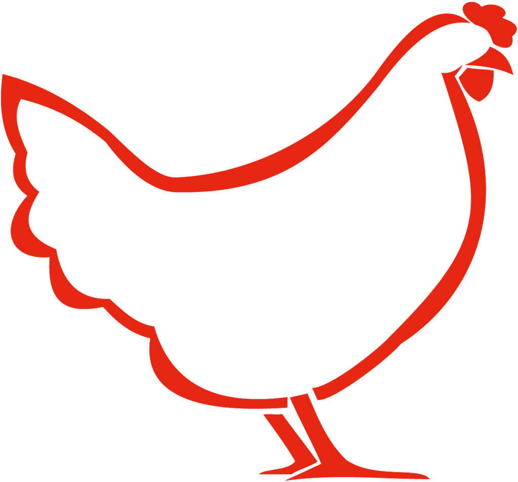 Broiler emostartti P Minirae irto