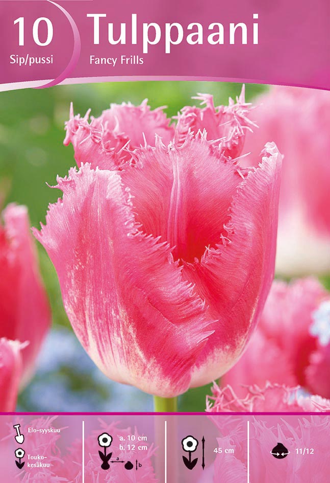 Tulppaani Fancy Frills