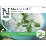 Micro Leaf korianteri Nelson
