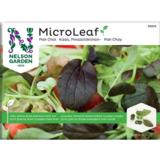 Micro Leaf pinaattikiinankaali Nelson